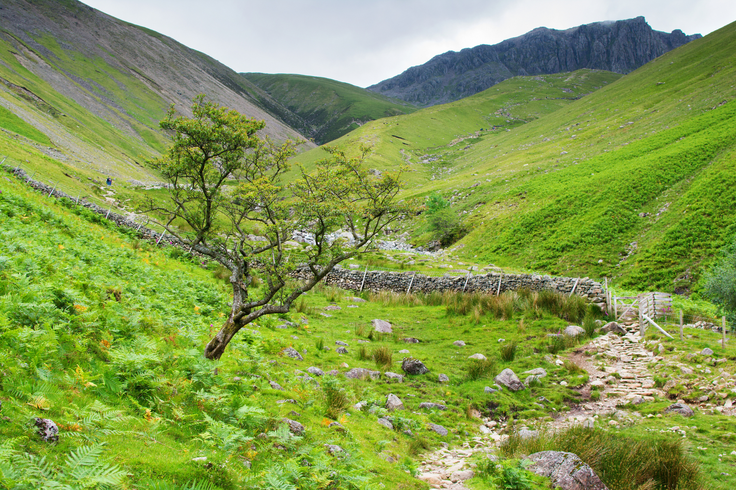 lake district national park.webp